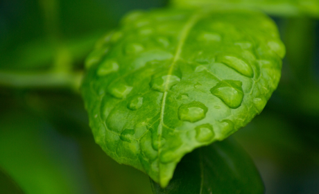 雨天发的文案短句伤感